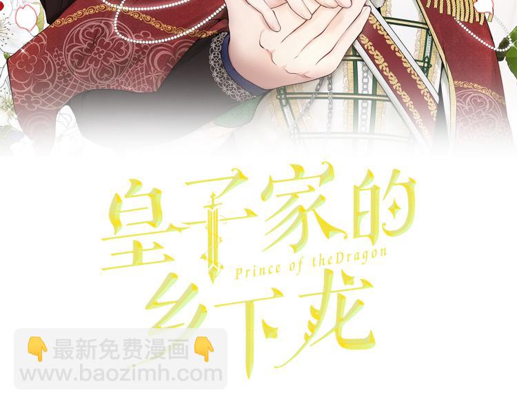 《皇子家的乡下龙》外传5 危机时刻！ 第2页