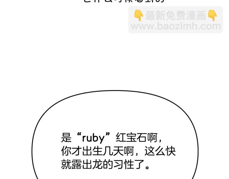 《皇子家的乡下龙》外传8 给龙宝宝取名 第42页