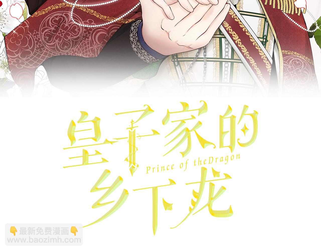 《皇子家的乡下龙》外传12 极光要出现了！ 第20页