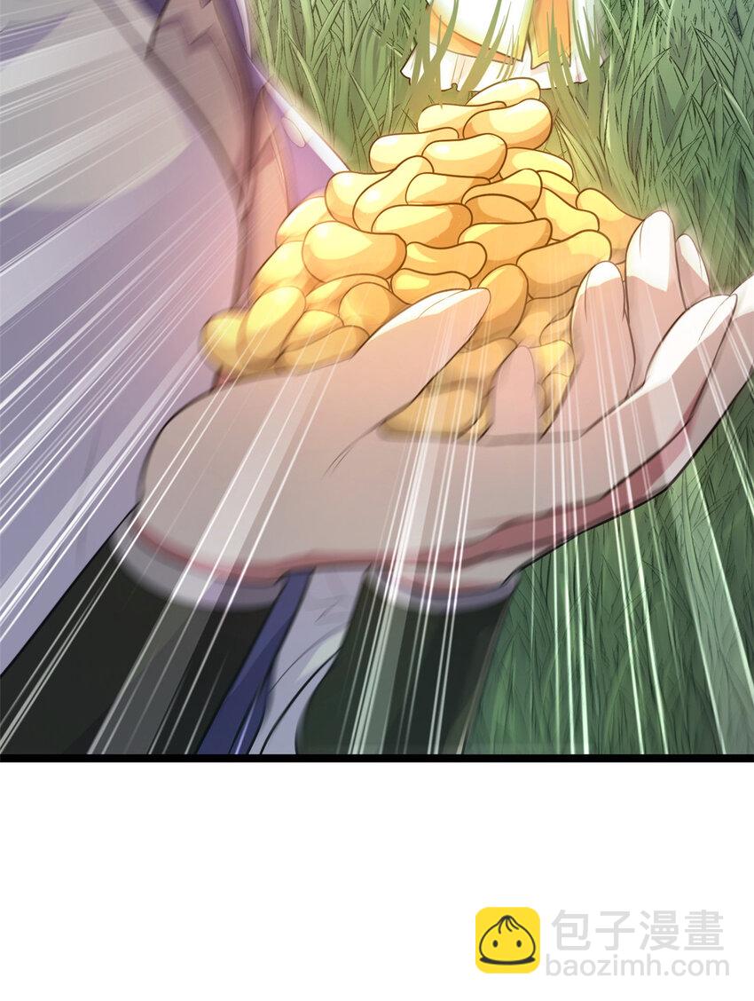 《我渡了999次天劫》59 抓豆兵 第38页