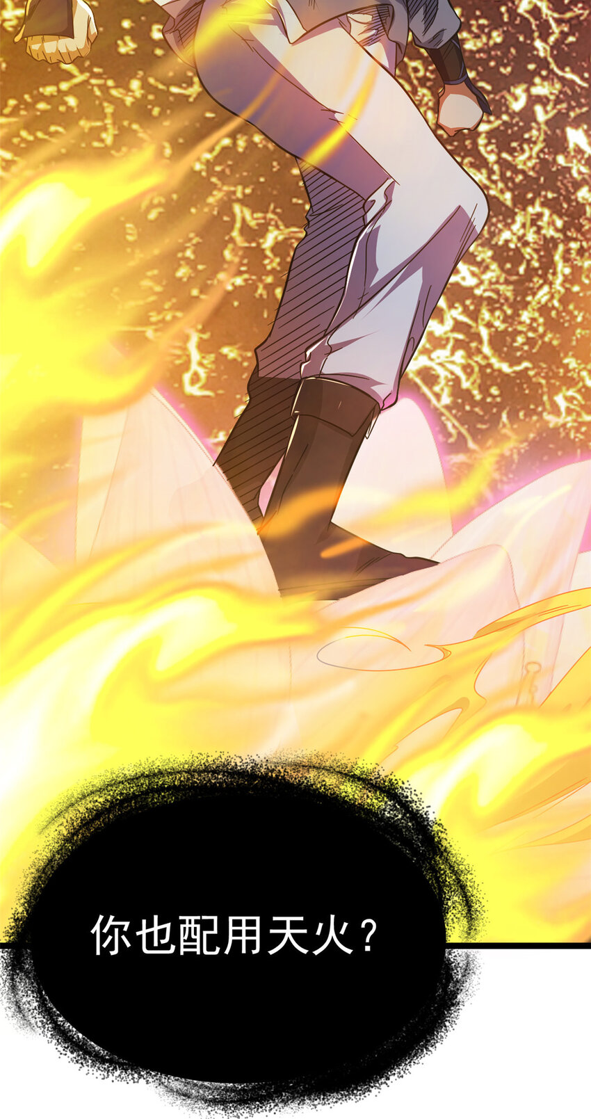 《我渡了999次天劫》66 请天人渡劫 第14页