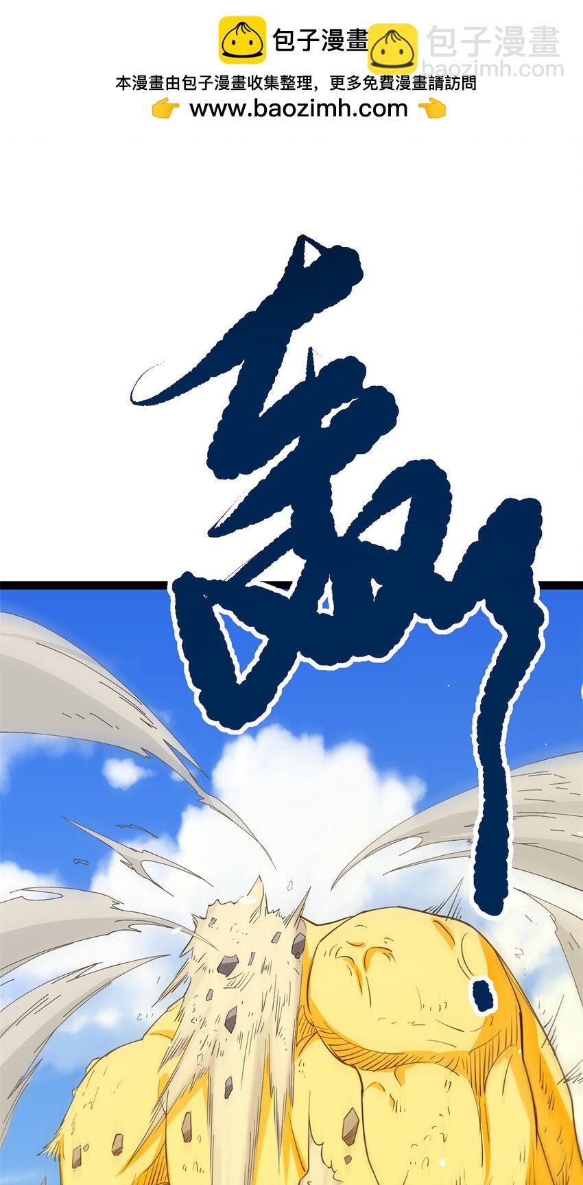 《我渡了999次天劫》78 火神 第2页
