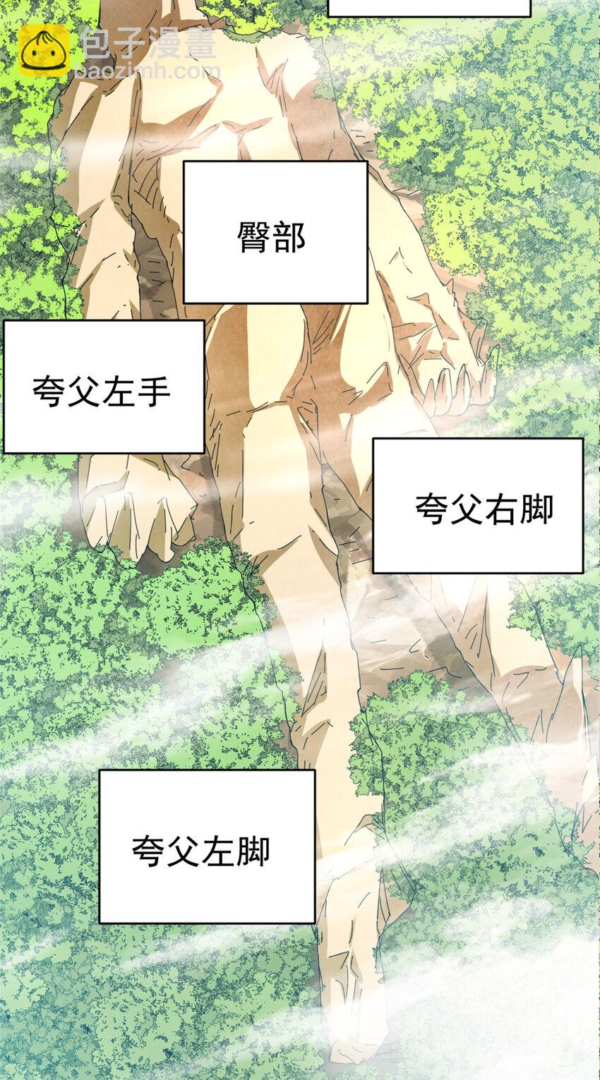 《我渡了999次天劫》77 凤凰的突袭 第6页