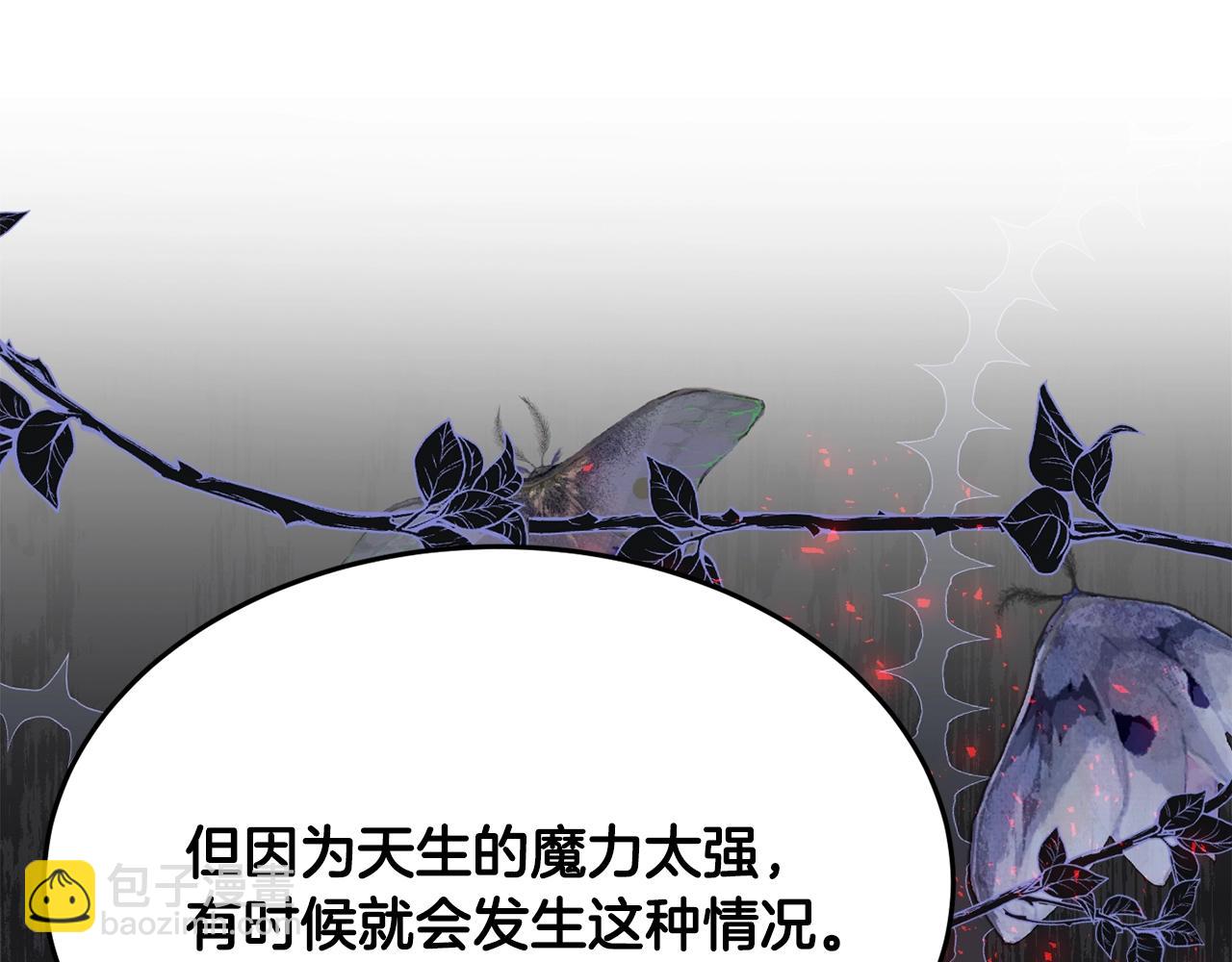 《公爵夫人的宝石物语》第23话 神秘来客 第12页