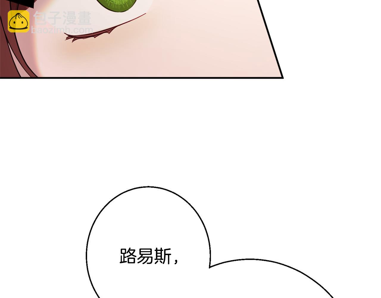 《公爵夫人的宝石物语》第39话 进入王宫 第13页