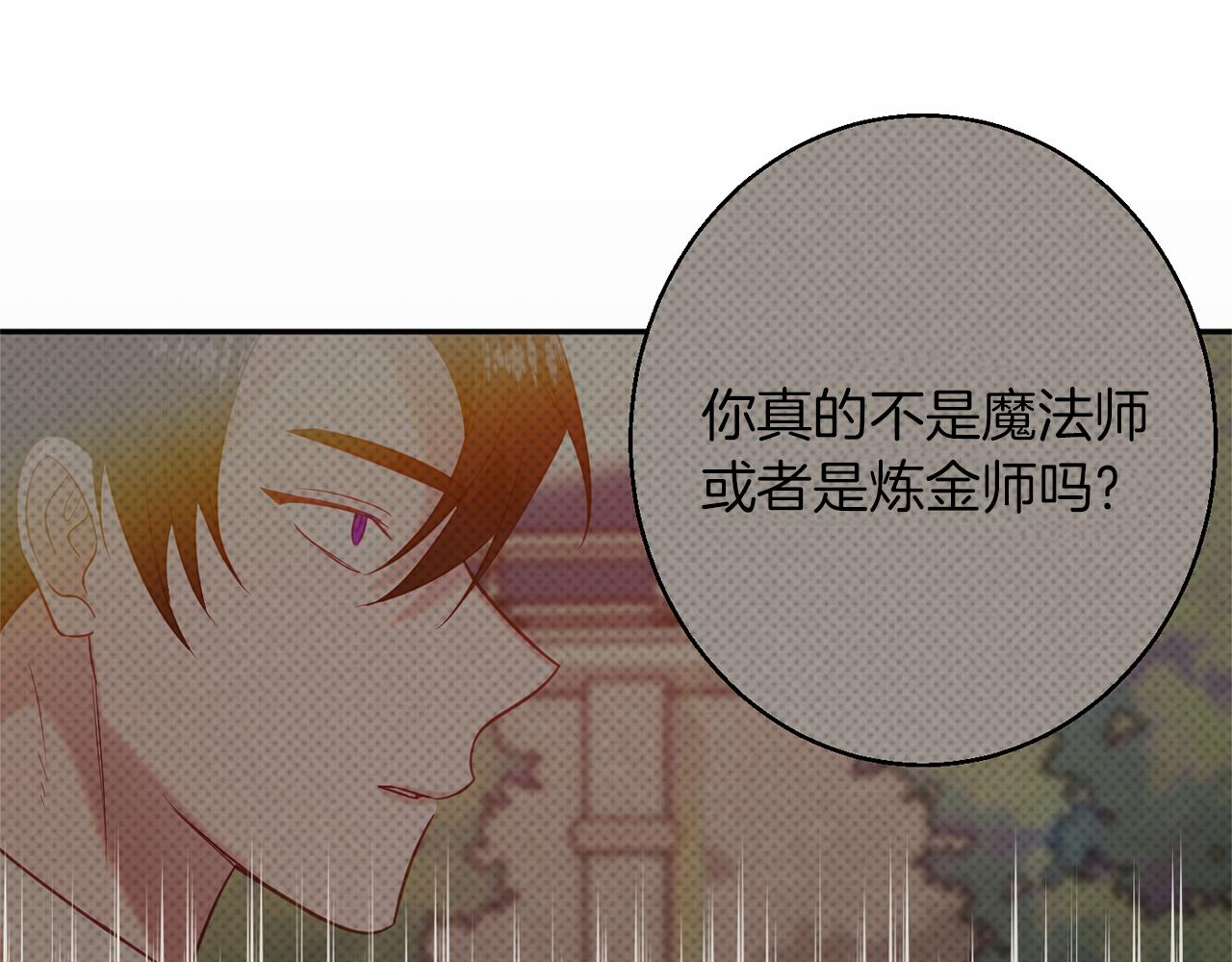 《公爵夫人的宝石物语》第43话 神像 第19页