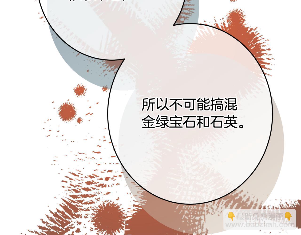 《公爵夫人的宝石物语》第50话 少女 第46页