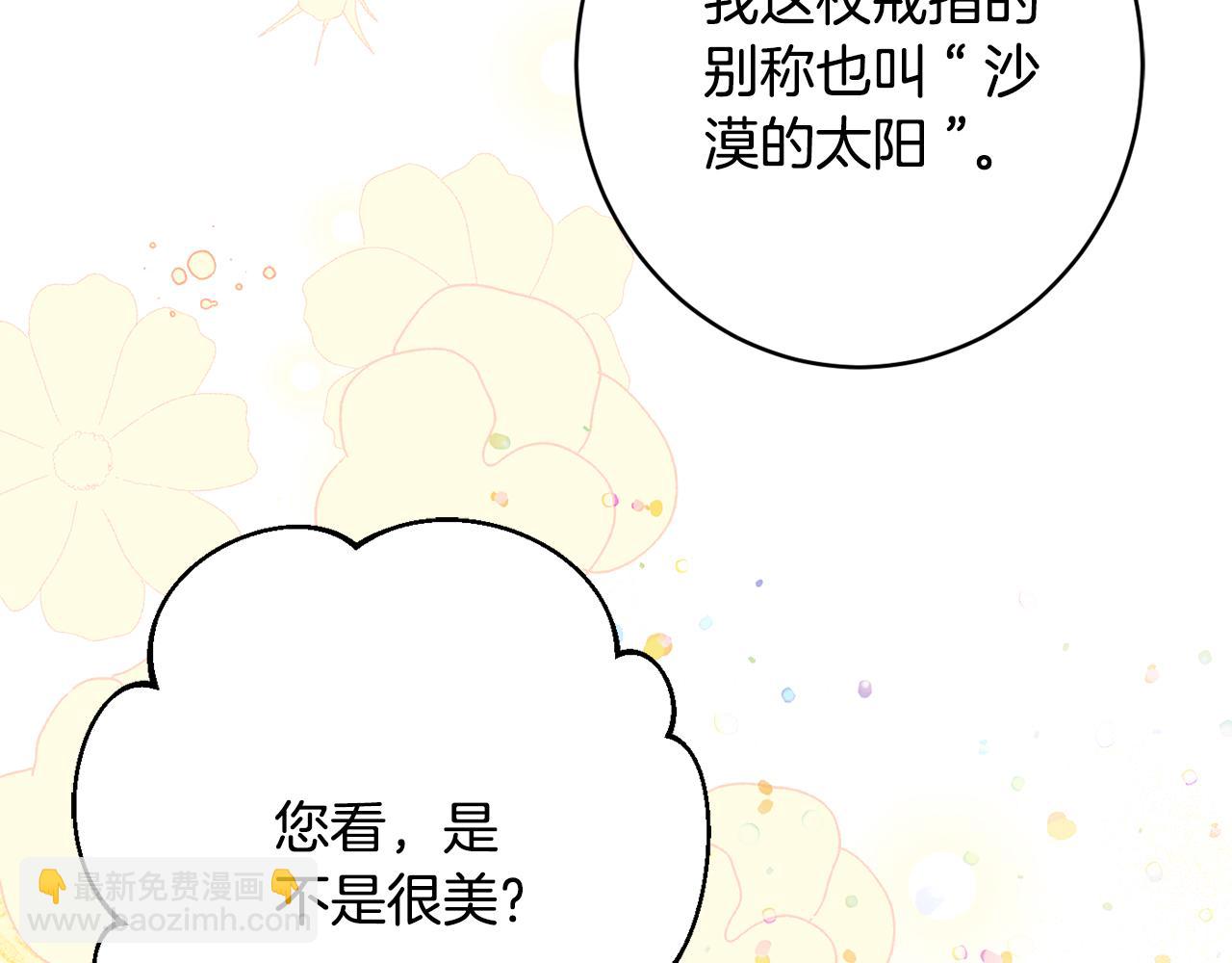 《公爵夫人的宝石物语》第57话 圆场 第17页