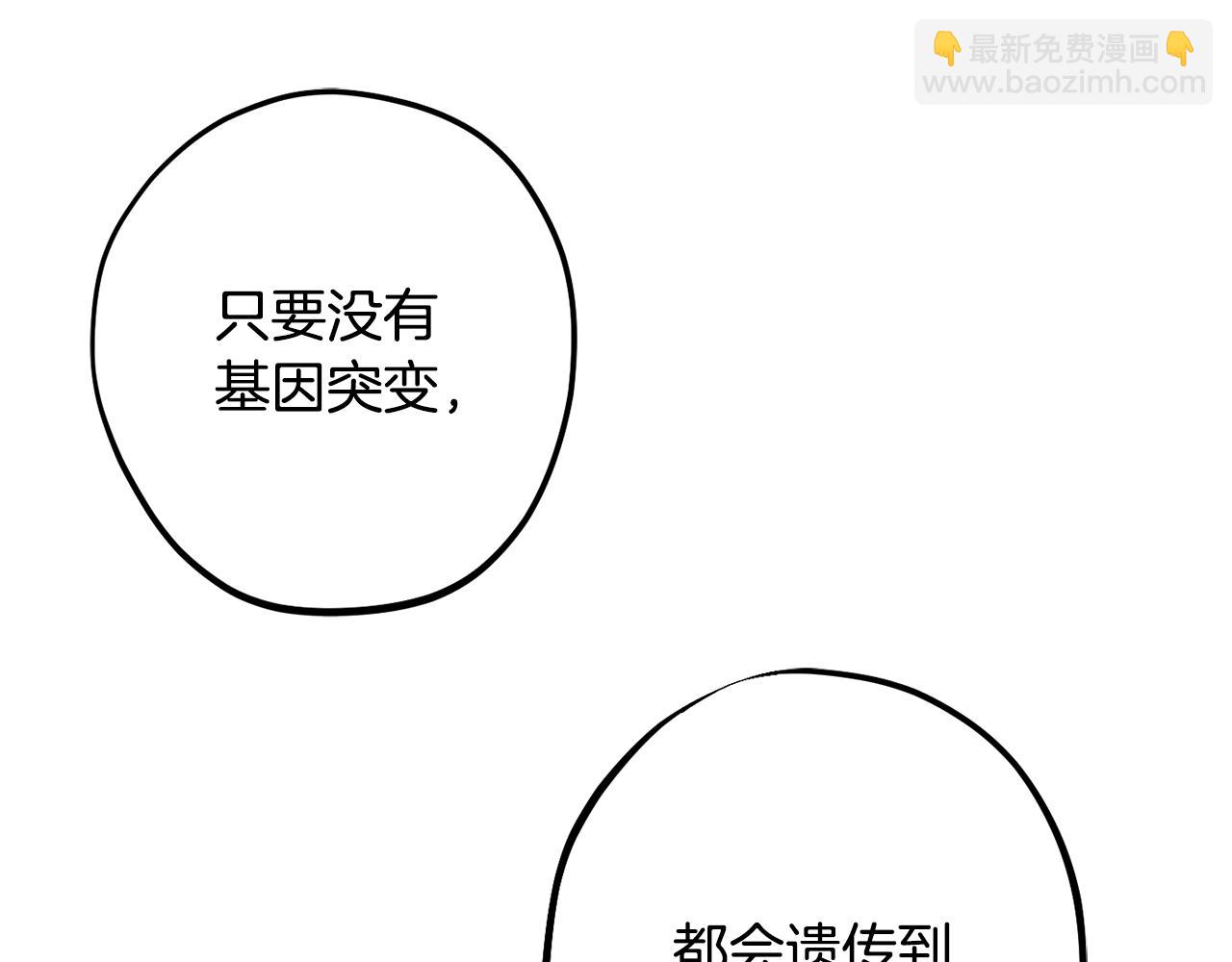 《公爵夫人的宝石物语》第78话 傀儡公女 第46页