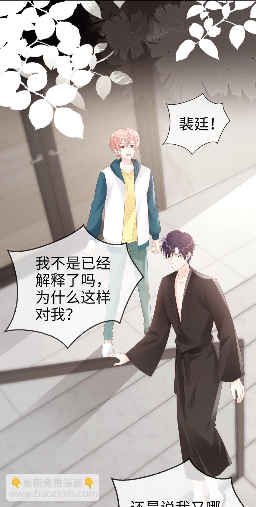 《裴宝》068 我不喜欢裴廷！ 第23页