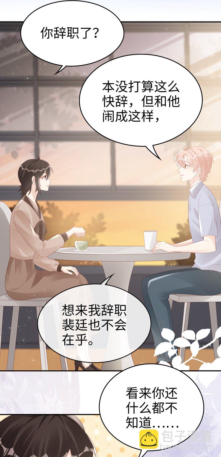 《裴宝》068 我不喜欢裴廷！ 第27页