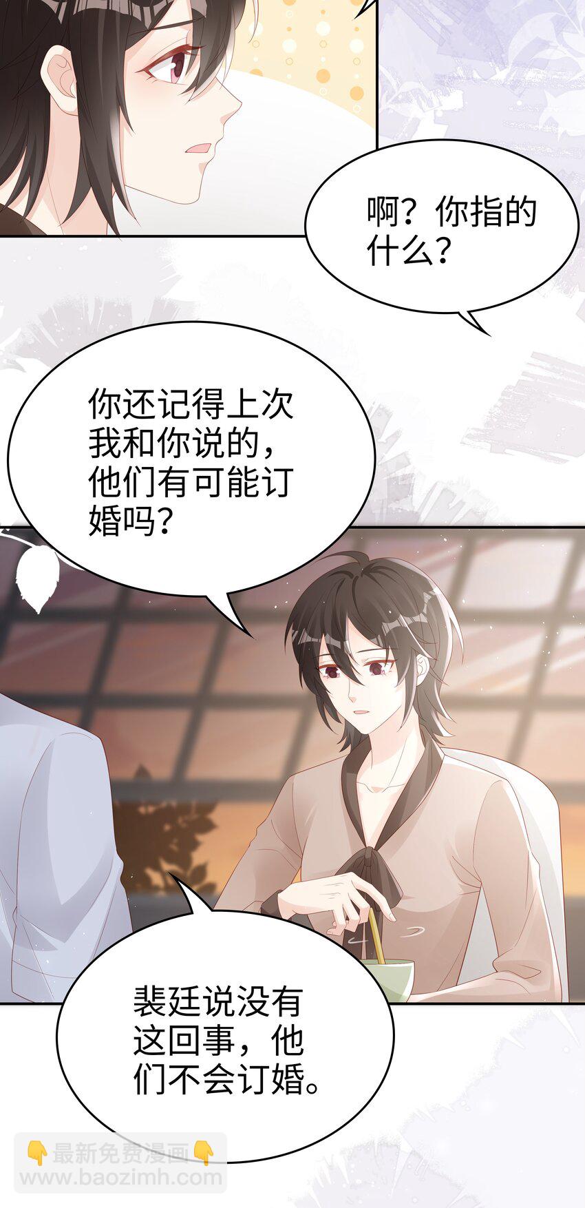 《裴宝》068 我不喜欢裴廷！ 第28页