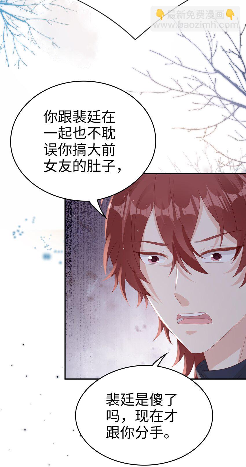 《裴宝》071 我们结束了 第37页