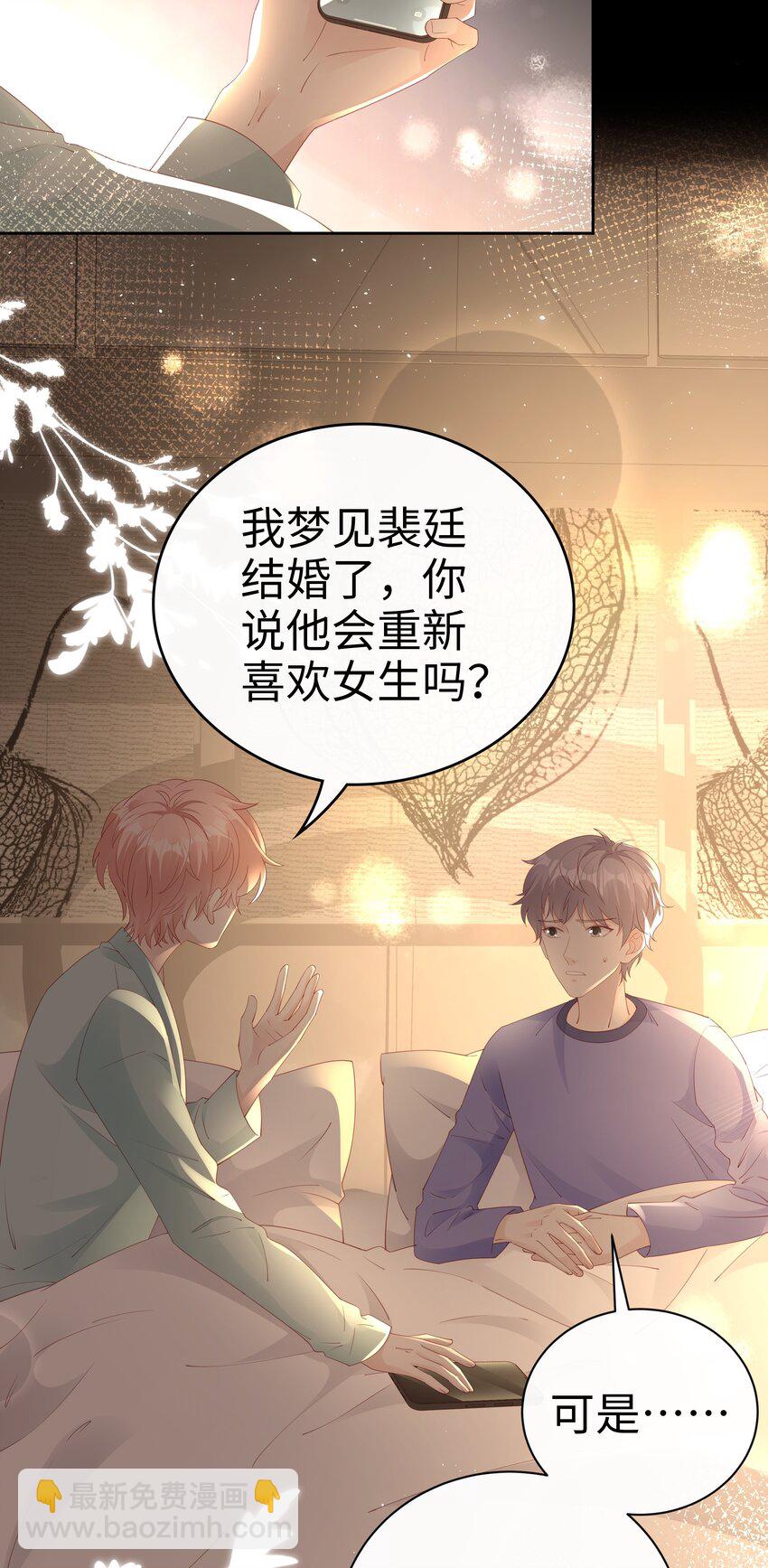《裴宝》077 分手的条件 第5页