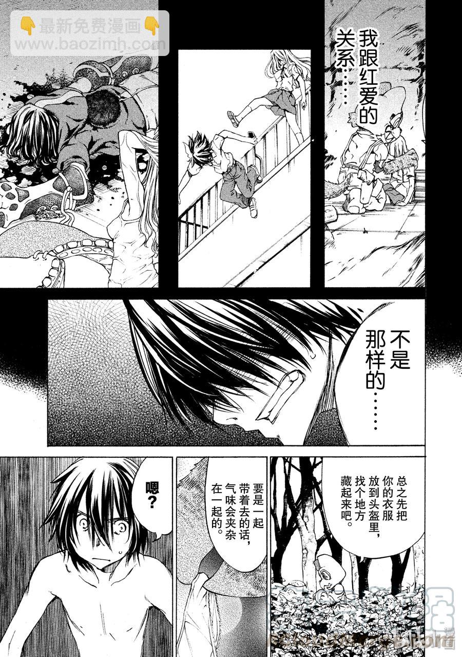 《格莱普尼尔》17 仪式 第13页