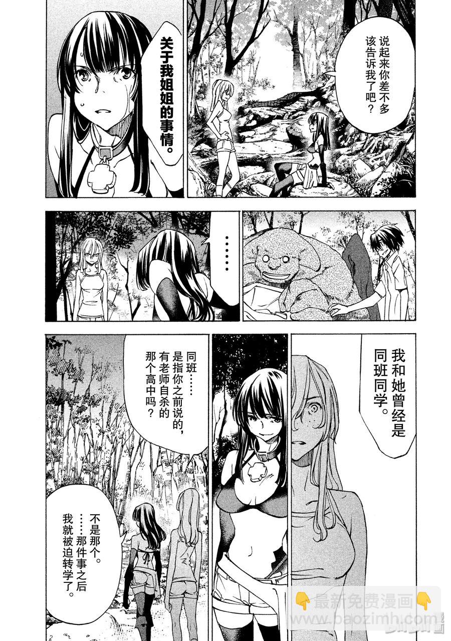 《格莱普尼尔》24 领地的标记 第7页