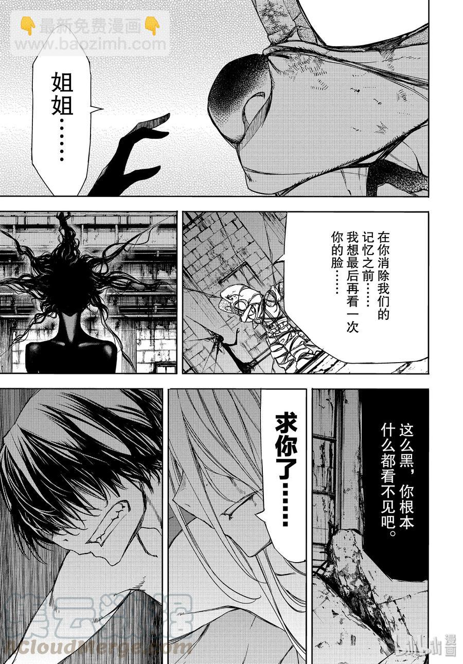 《格莱普尼尔》49 坚决的心意 第29页