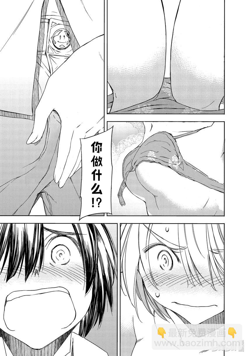 《格莱普尼尔》最终话 后来的世界 第29页