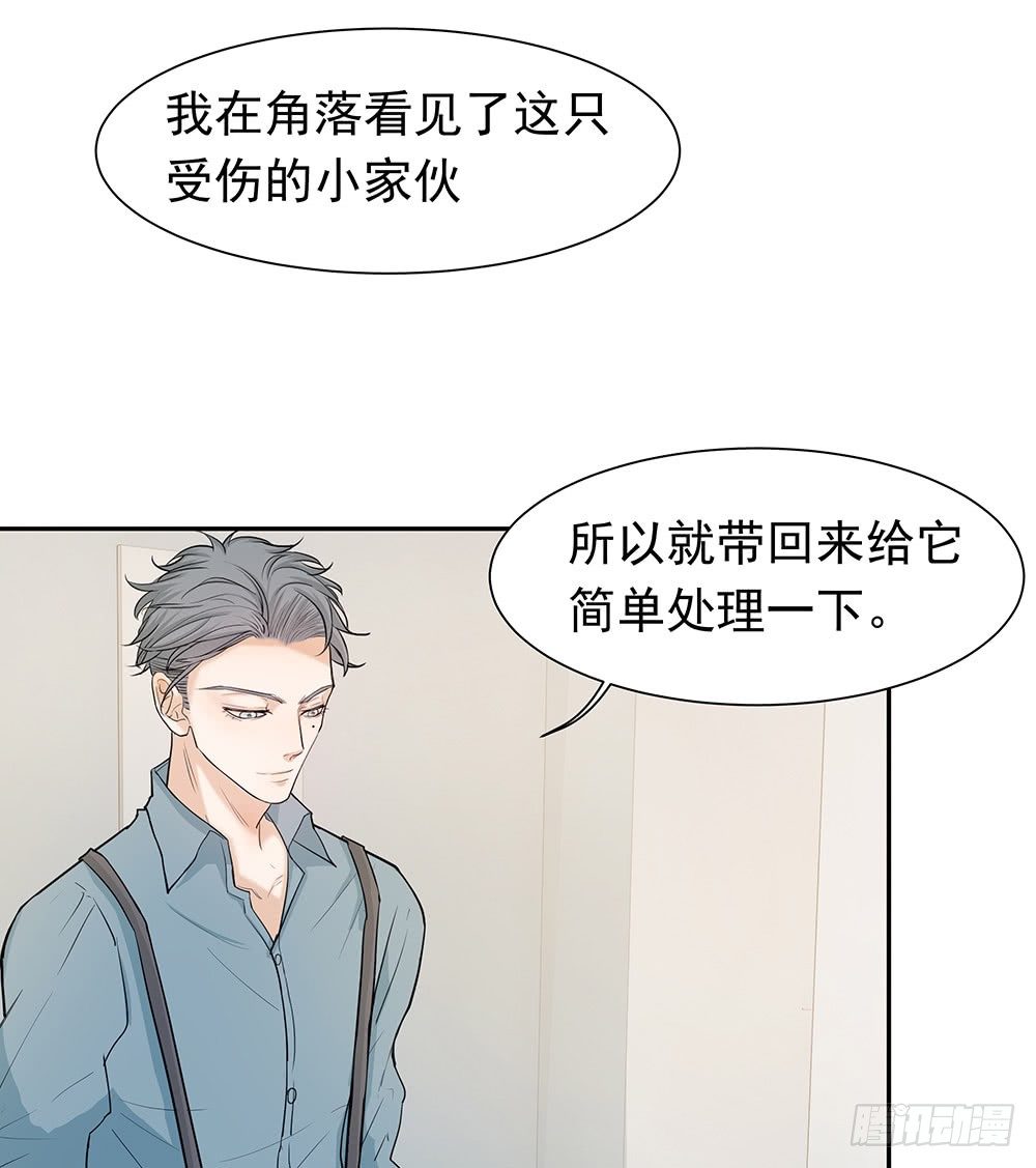 《荒隐之城》特别的日子 第37页