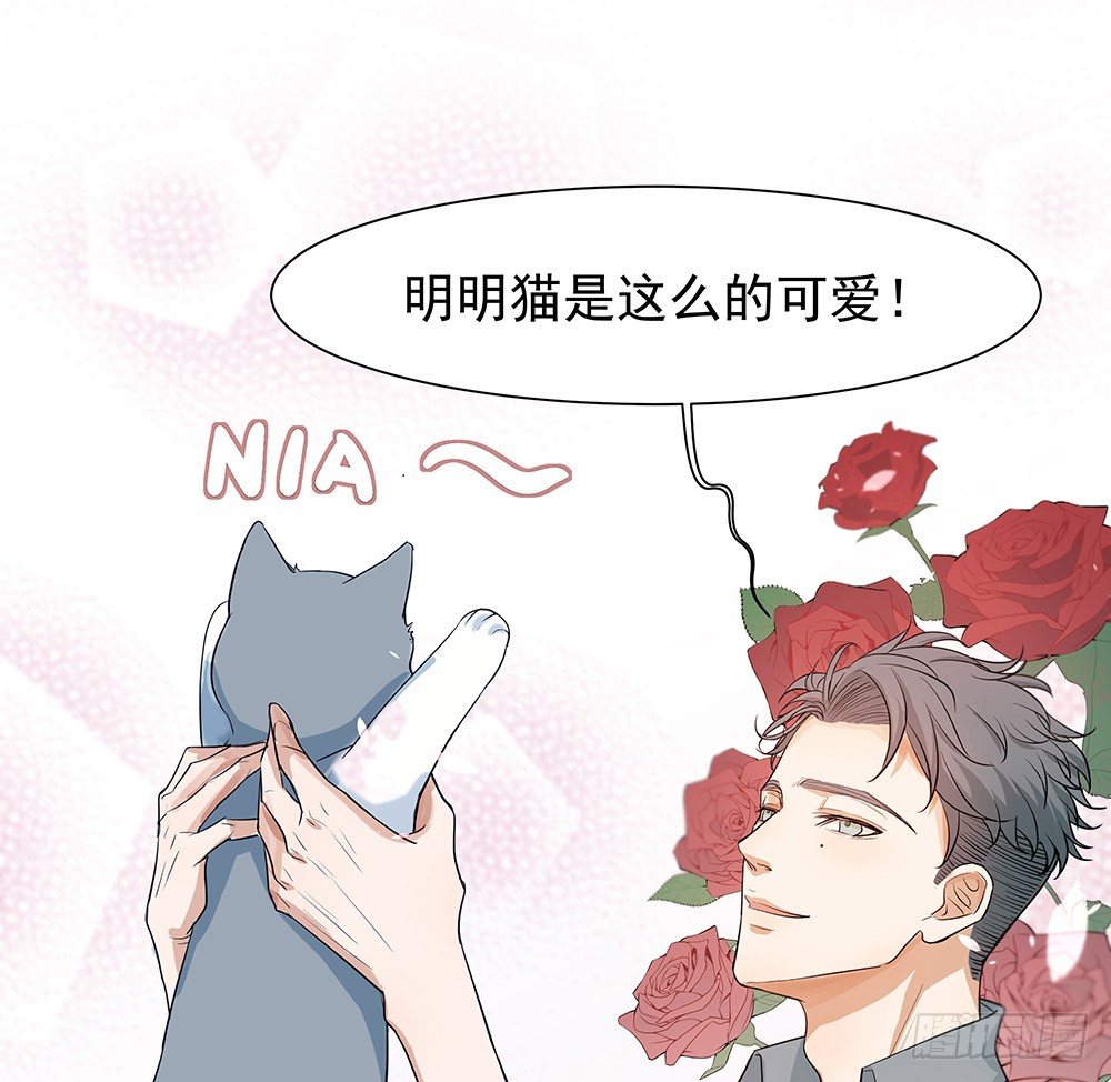 《荒隐之城》特别的日子 第45页