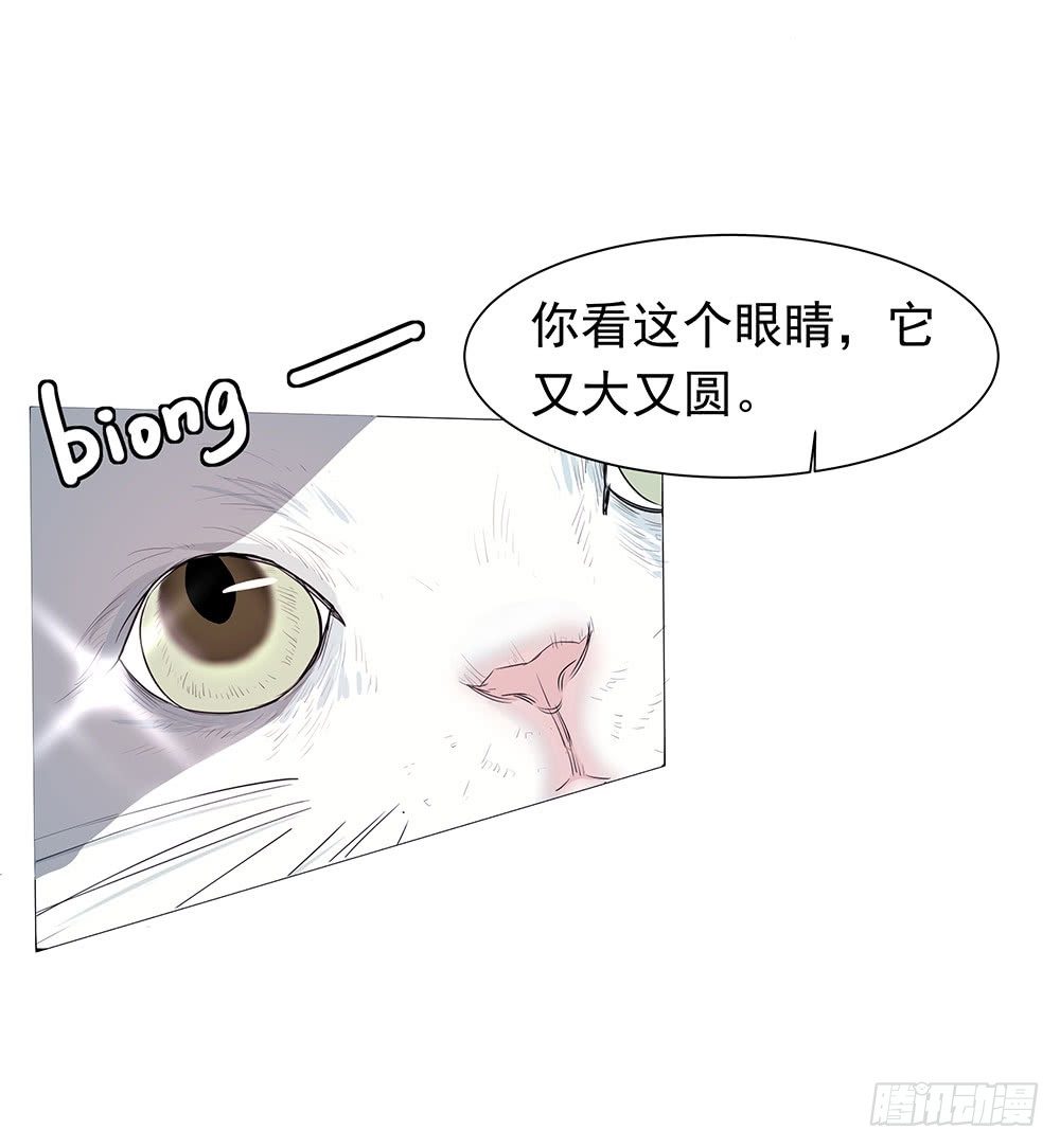 《荒隐之城》特别的日子 第47页