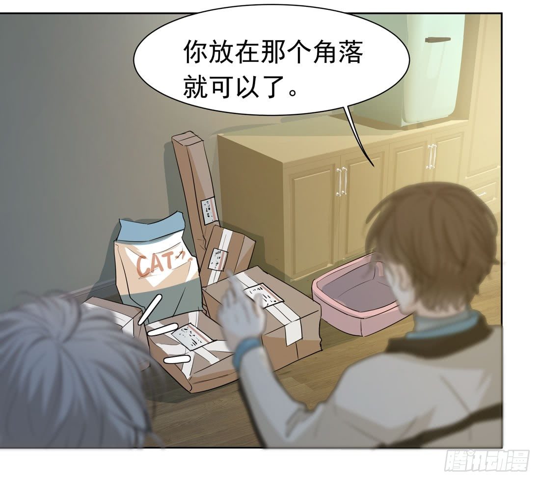 《荒隐之城》猫的新家 第17页