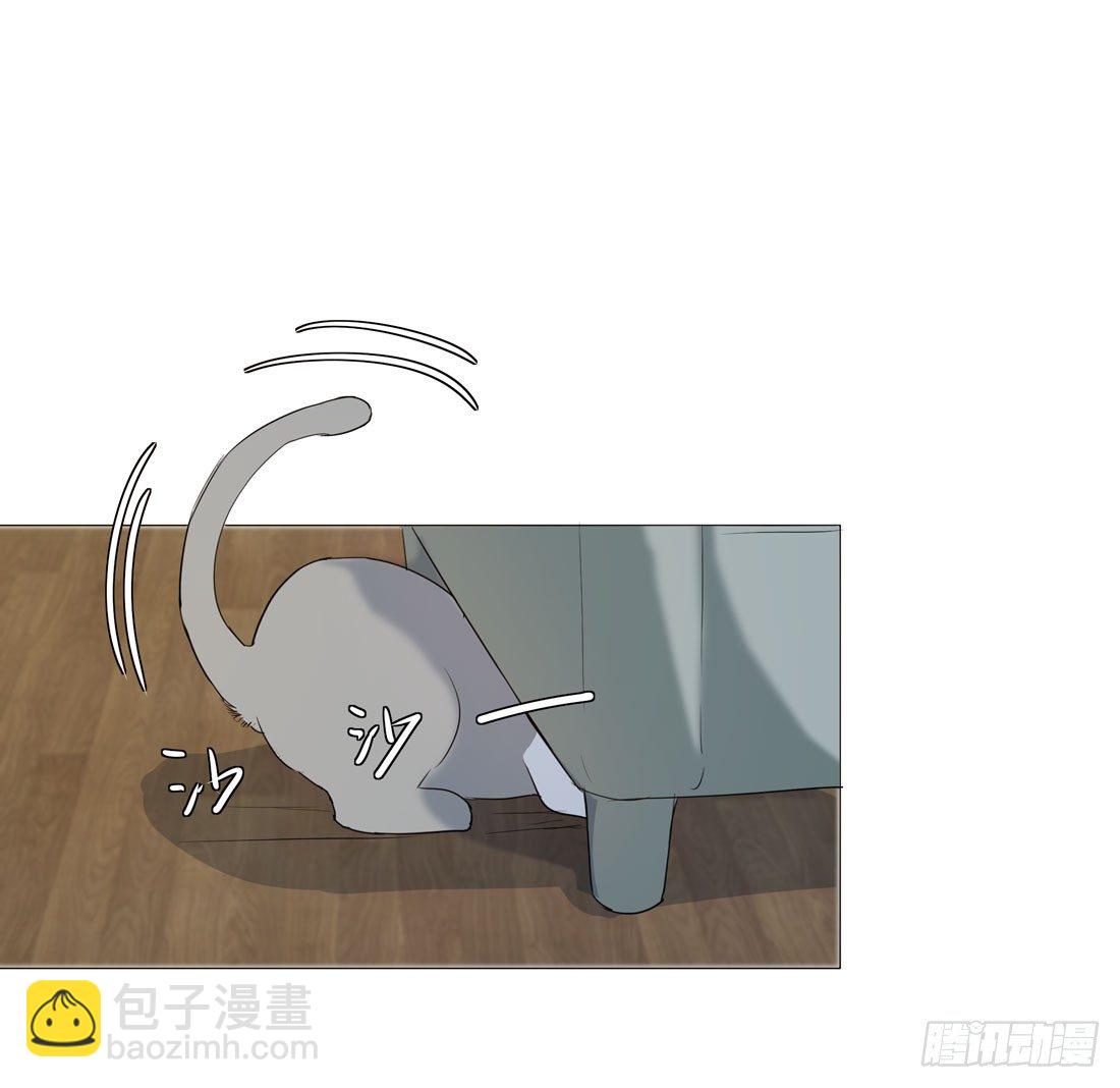 《荒隐之城》猫的新家 第18页