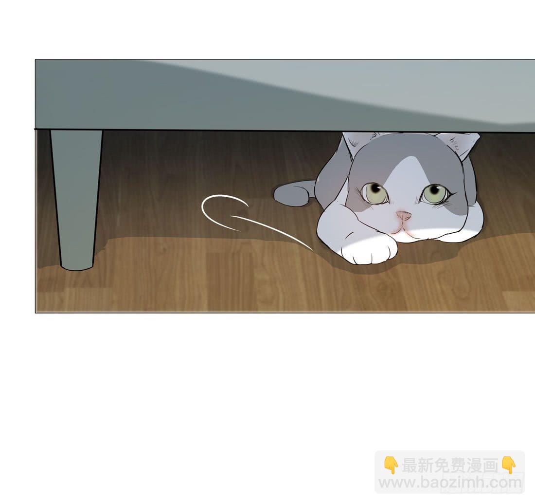 《荒隐之城》猫的新家 第19页