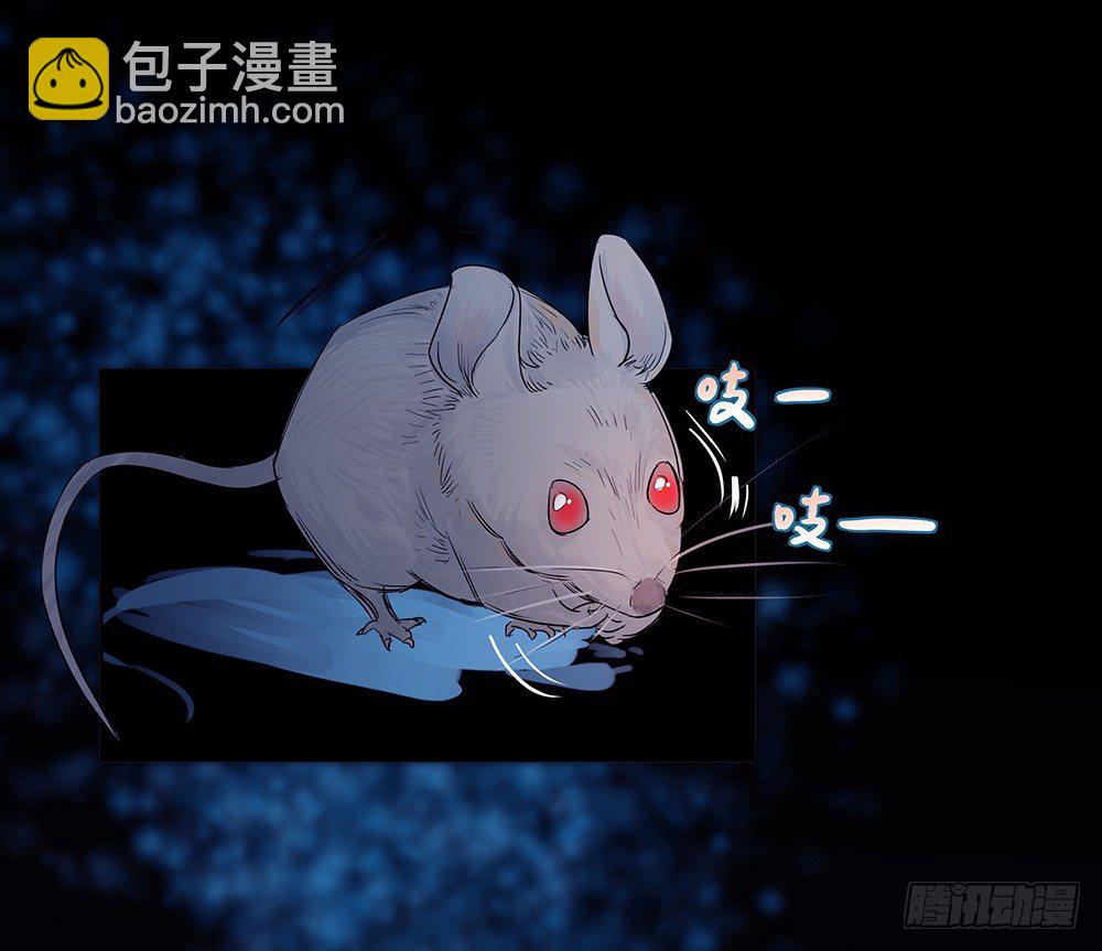 《荒隐之城》荒灵 第30页