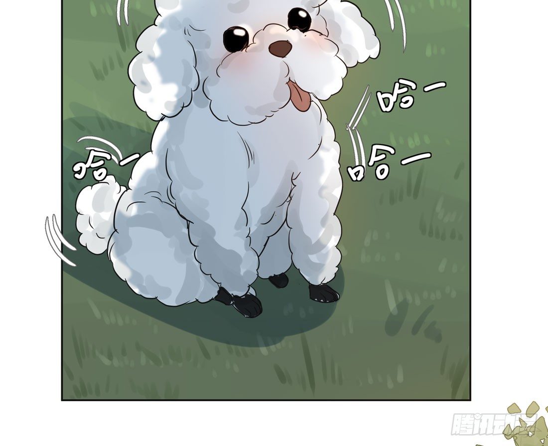 《荒隐之城》怀疑 第37页