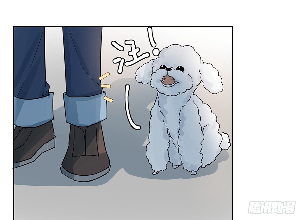 《荒隐之城》指定联络员 第29页