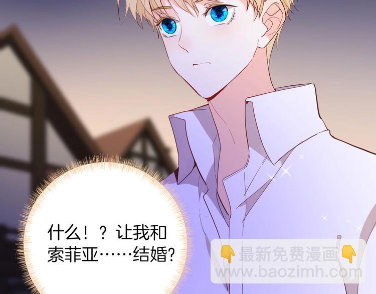 《女仆驾到》第57话 婚配 第46页