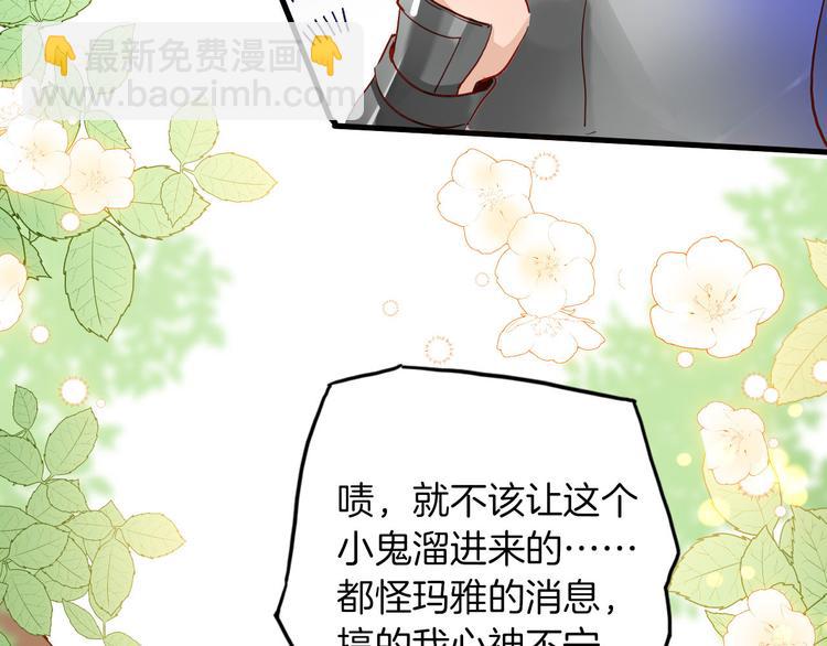 《女仆驾到》第65话 刺杀 第39页
