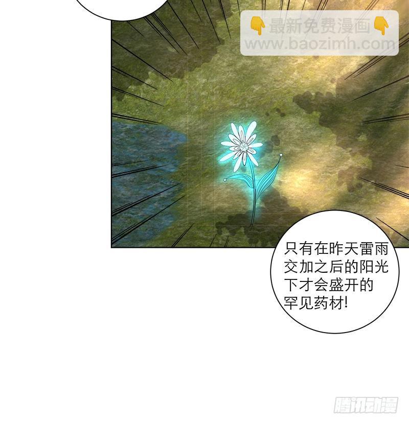 《逆天嫡女仙尊，宠上天！》第41话 邪恶导师 第36页