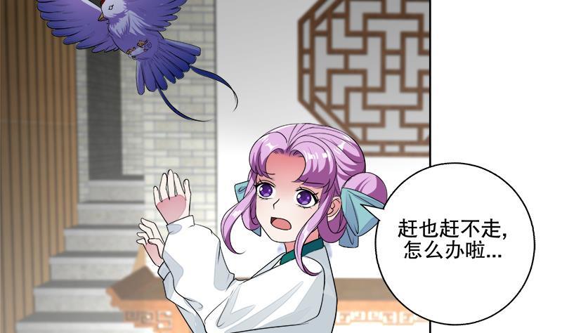 《逆天嫡女仙尊，宠上天！》第66话 黑灵鸟 第20页