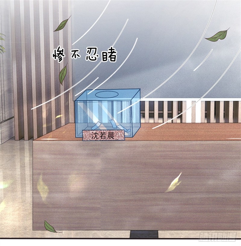 《拒嫁豪门总裁的逃婚新娘》第155话 第14页