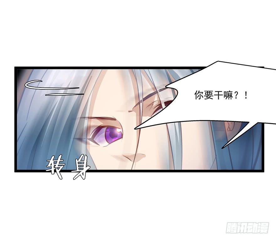 《替身太抢戏》55.对女人的兴趣 第1页