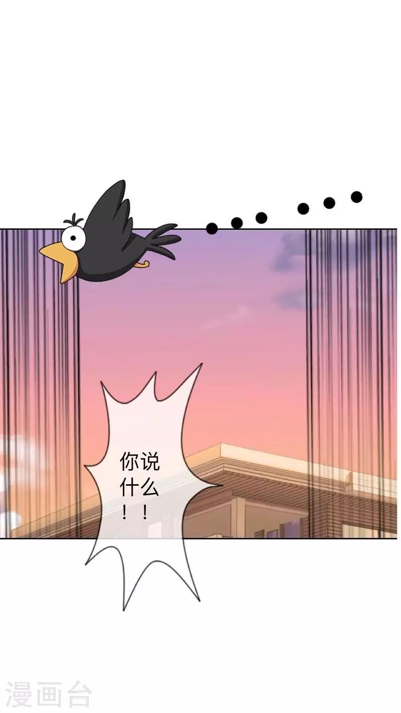 《偶像恋歌》第12话 新闻发布会 第29页