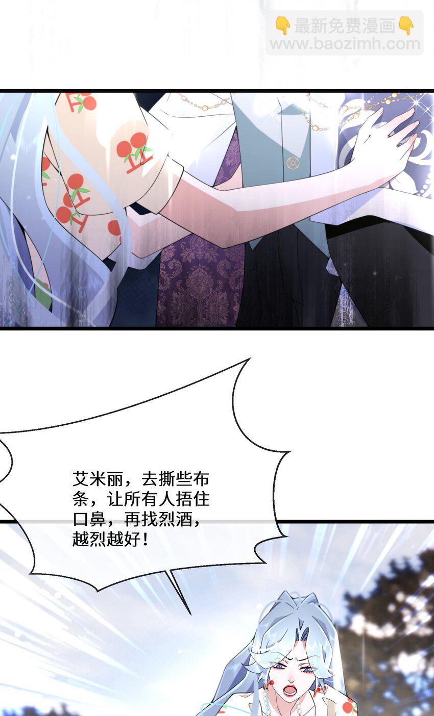《公主的一百种殉国方式》070 天花 第28页