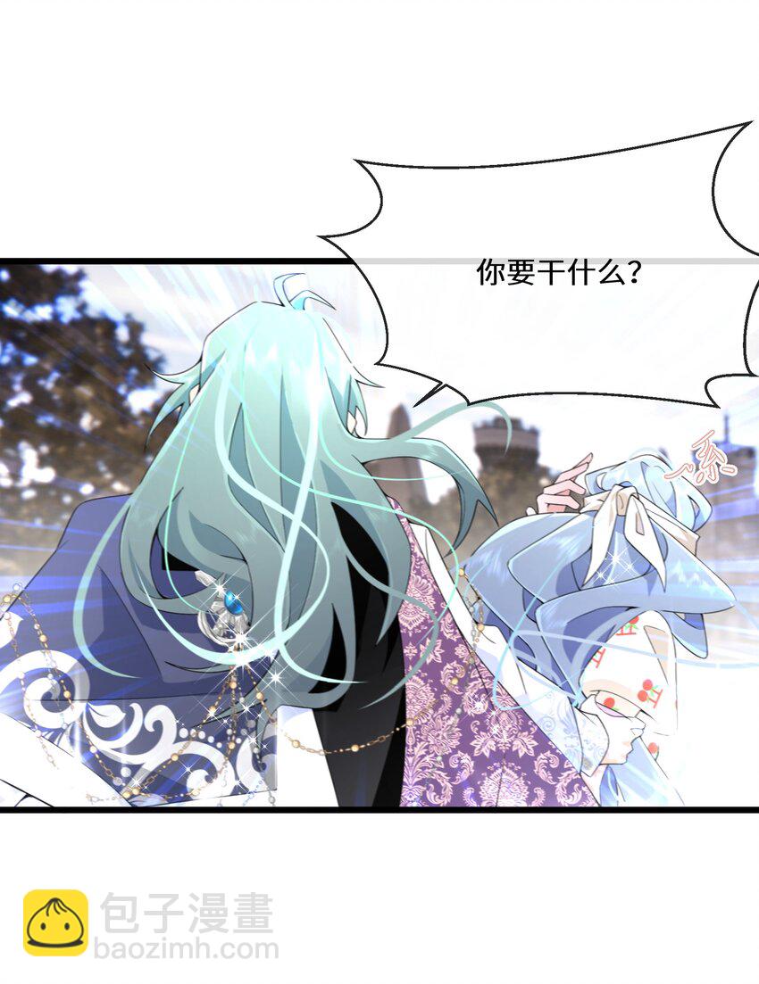 《公主的一百种殉国方式》070 天花 第30页