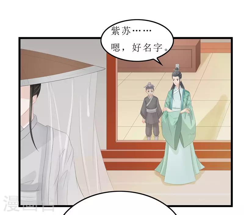 《重生之弃妃为后》第11话 紫苏姑娘 第6页