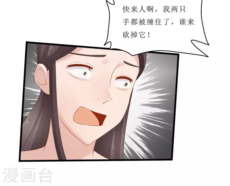 《重生之弃妃为后》第35话 别碰那朵花！ 第19页