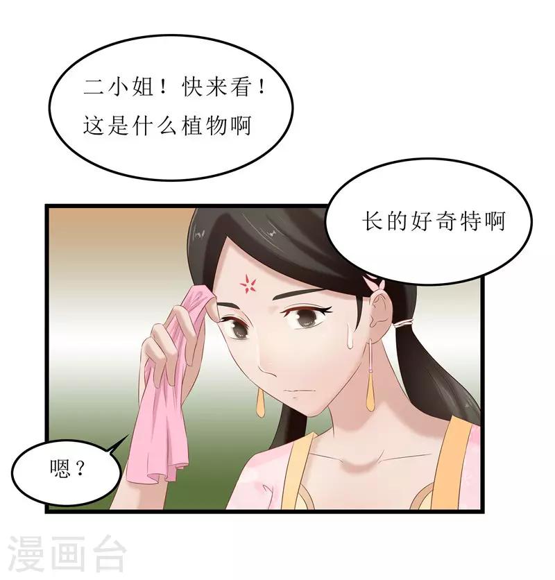 《重生之弃妃为后》第35话 别碰那朵花！ 第3页
