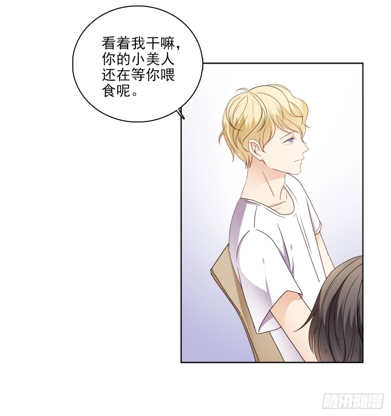《失忆娇妻宠爱记》带你去度假 第34页