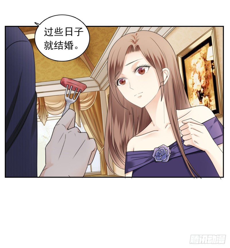 《失忆娇妻宠爱记》过些日子就结婚 第44页