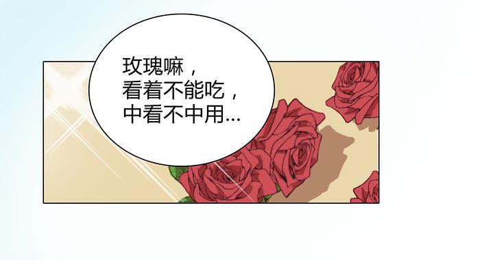 《缘来就在我身边》谁送的玫瑰 第27页