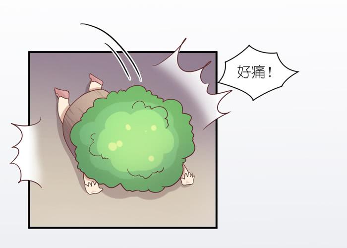 《缘来就在我身边》情愫暗生 第5页