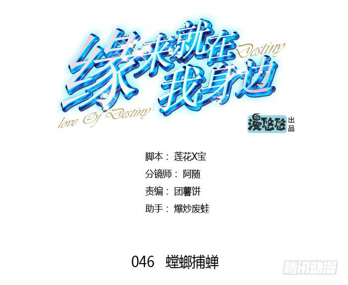 《缘来就在我身边》螳螂捕蝉 第4页