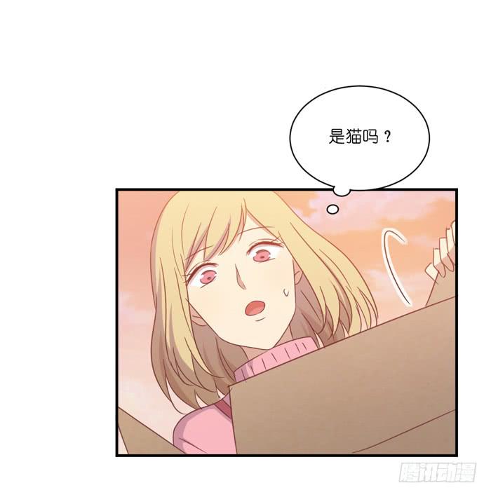 《缘来就在我身边》神秘纸箱 第30页