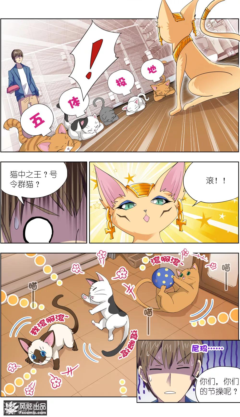 《宠物天王》第9话2 幸运猫的真相下 第11页